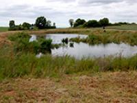 L'Etang