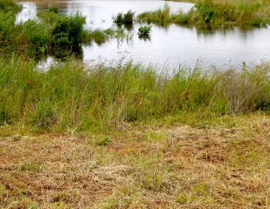 Bandeau Sport, culture et loisirs